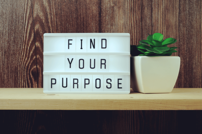 Seeking Purpose